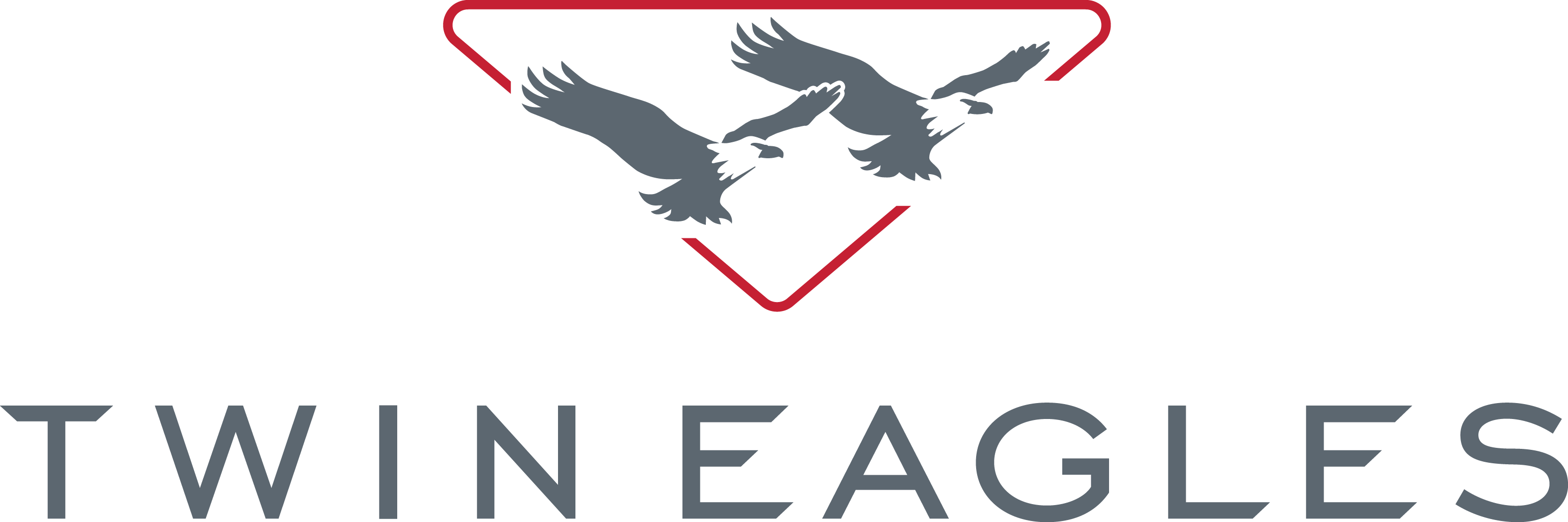 twin_eagles_logo